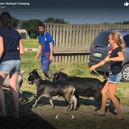 Campingplads Naturcampingplads